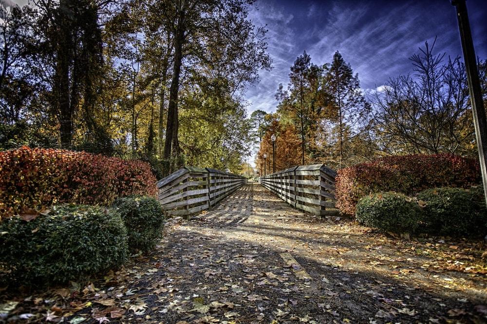 Wingate By Wyndham Tuscaloosa Hotel Luaran gambar